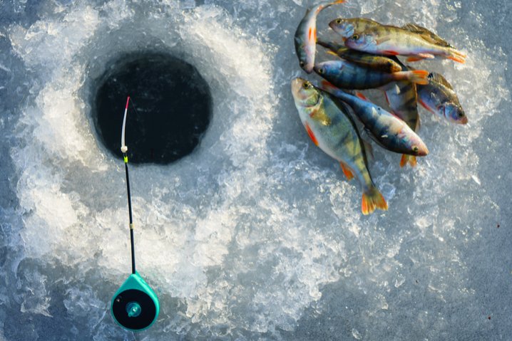 Ice fishing gambling game, ice fishing game